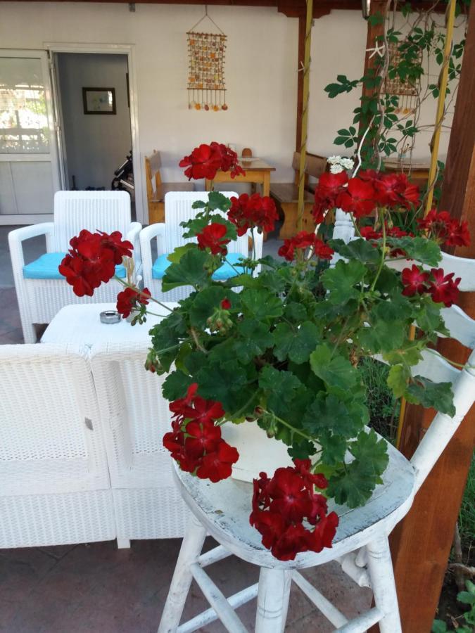 Alba Family Club Hotel Приморско Экстерьер фото
