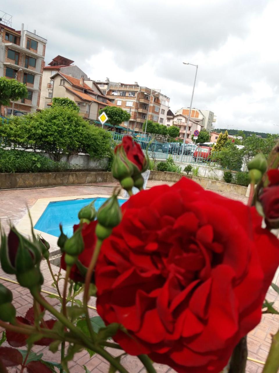 Alba Family Club Hotel Приморско Экстерьер фото