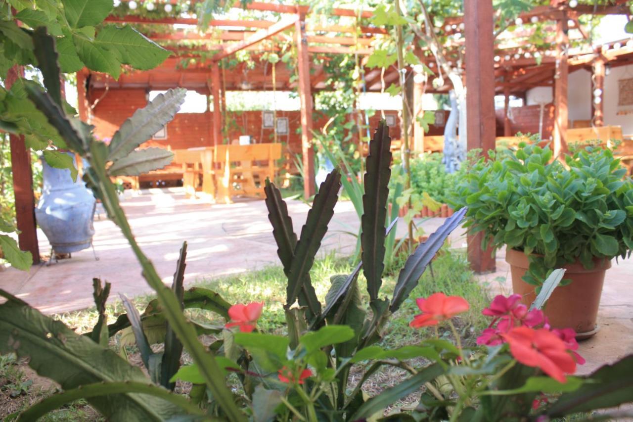 Alba Family Club Hotel Приморско Экстерьер фото